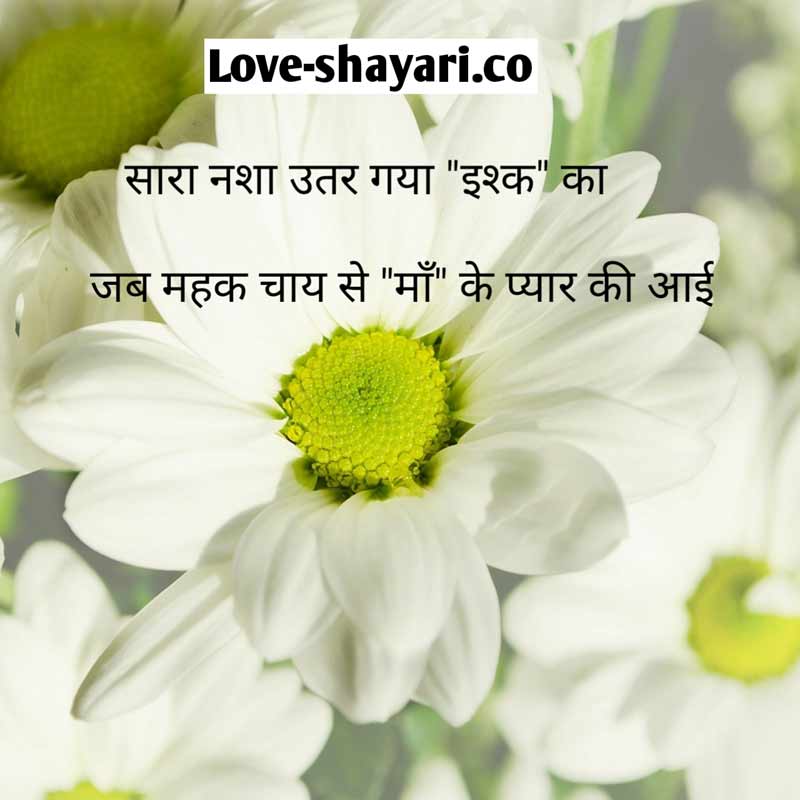 two line shayari collections hindi 