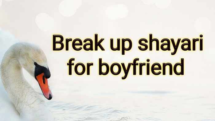 hind breakup shayari for bf