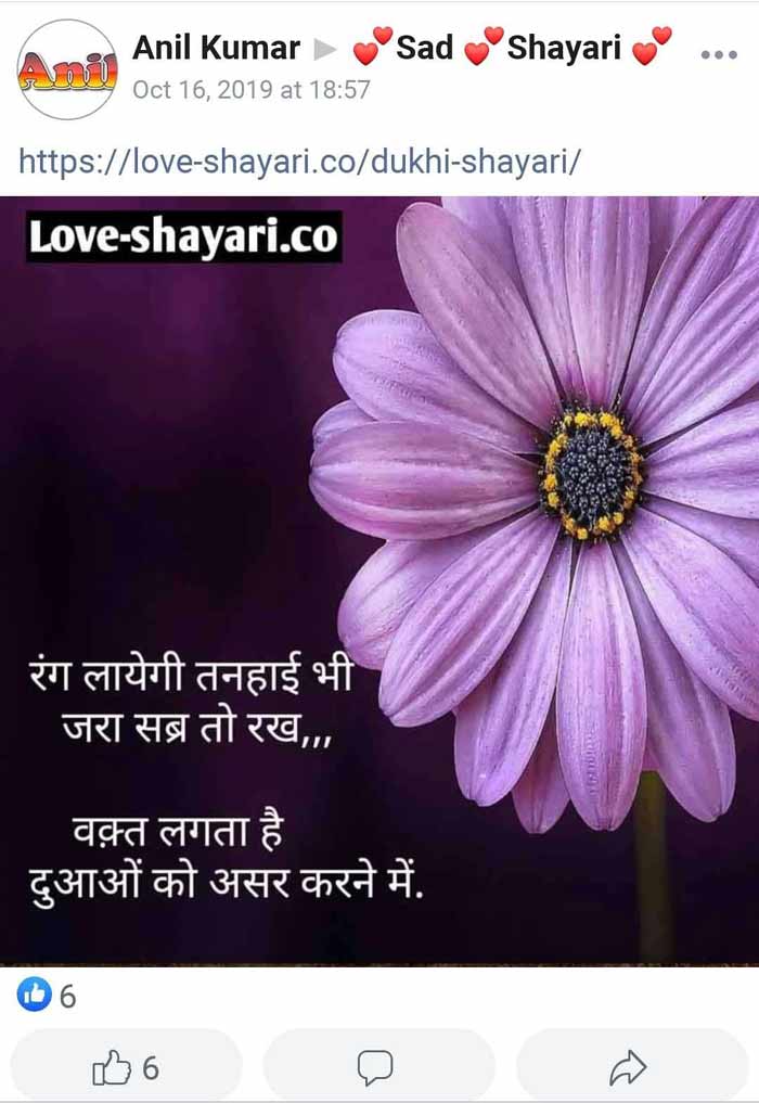 love shayari image download
