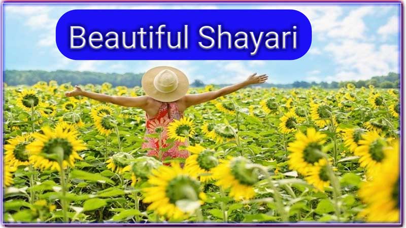 beautiful love mohabbat shayari in english