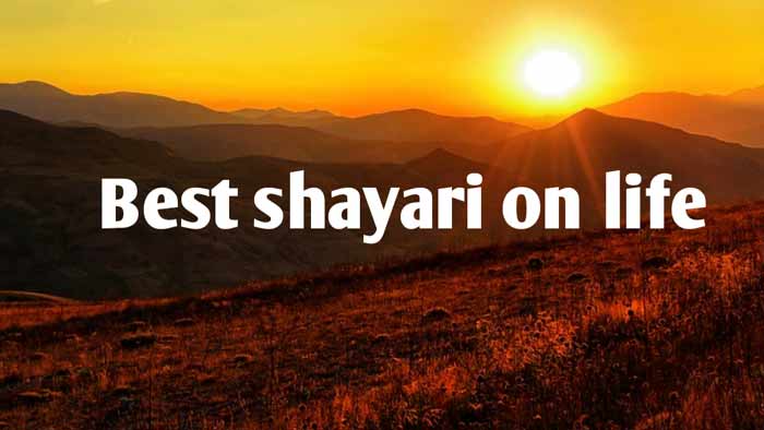 life shayari
