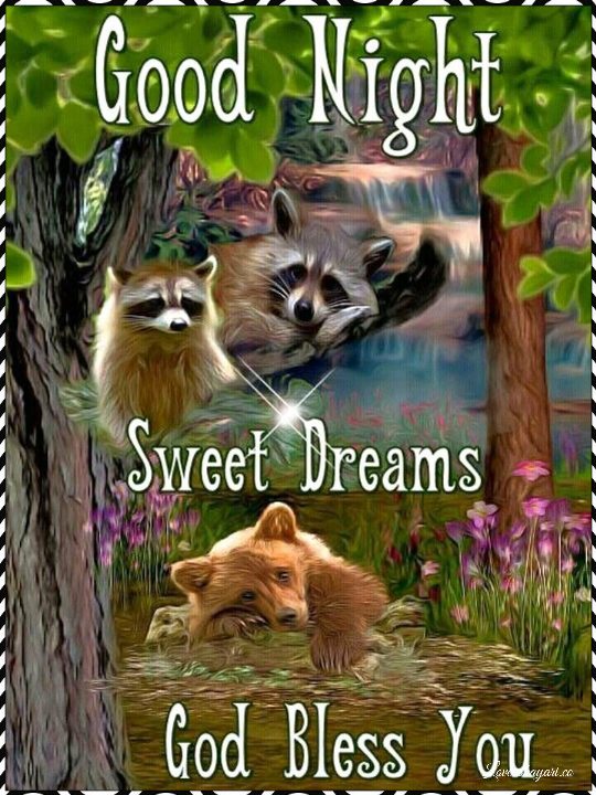 good night sweet dreams
