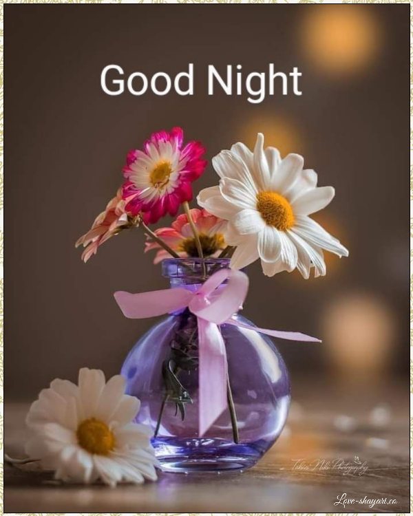 good night flowers
