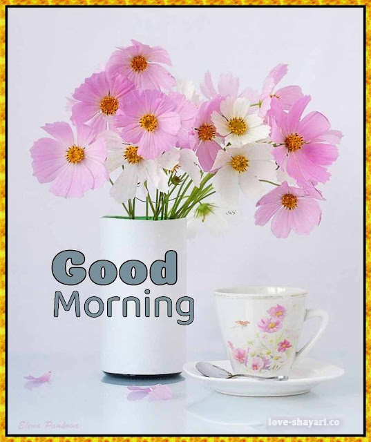 235 Download New Good Morning Images Wallpaper Free Download For Whatsapp   Good Morning