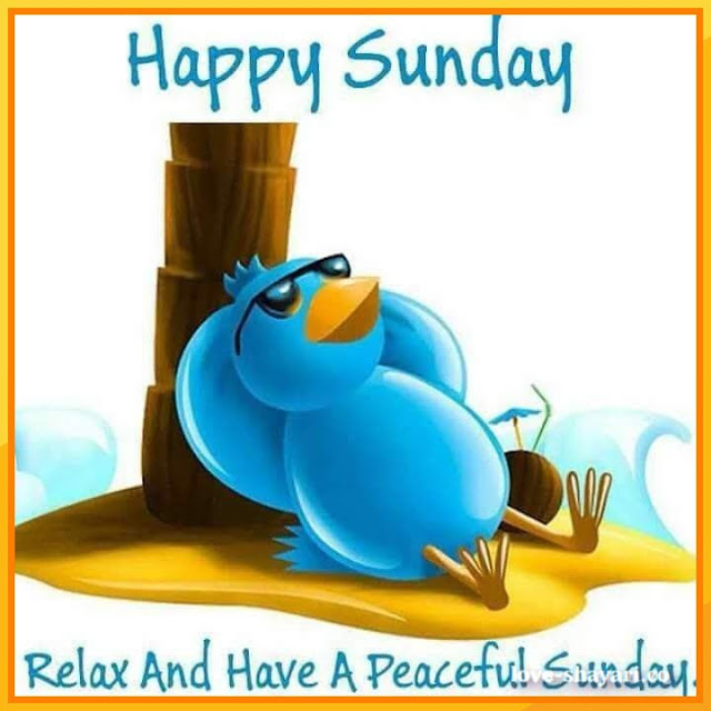 140+ New Good morning happy Sunday images HD