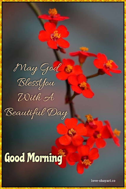 good morning wishes images