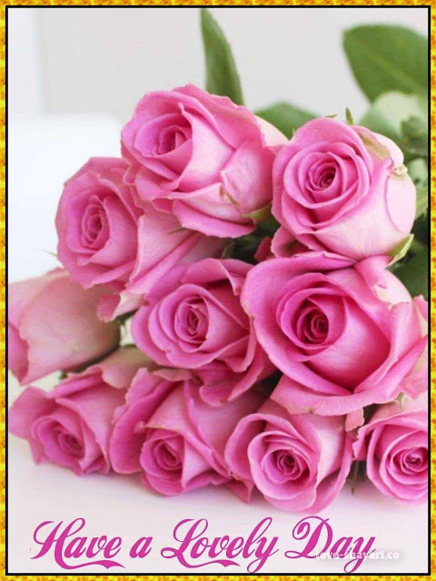 good morning images with rose flowers