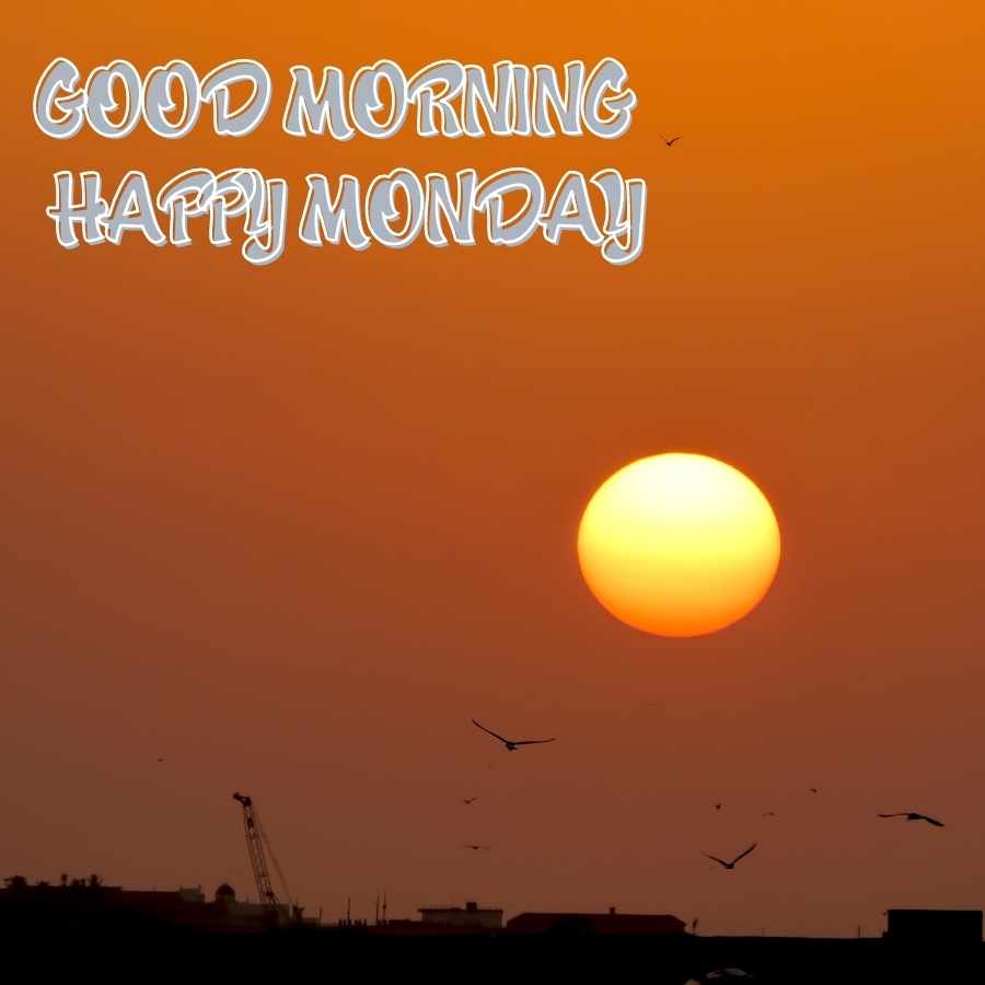 happy monday have a great week