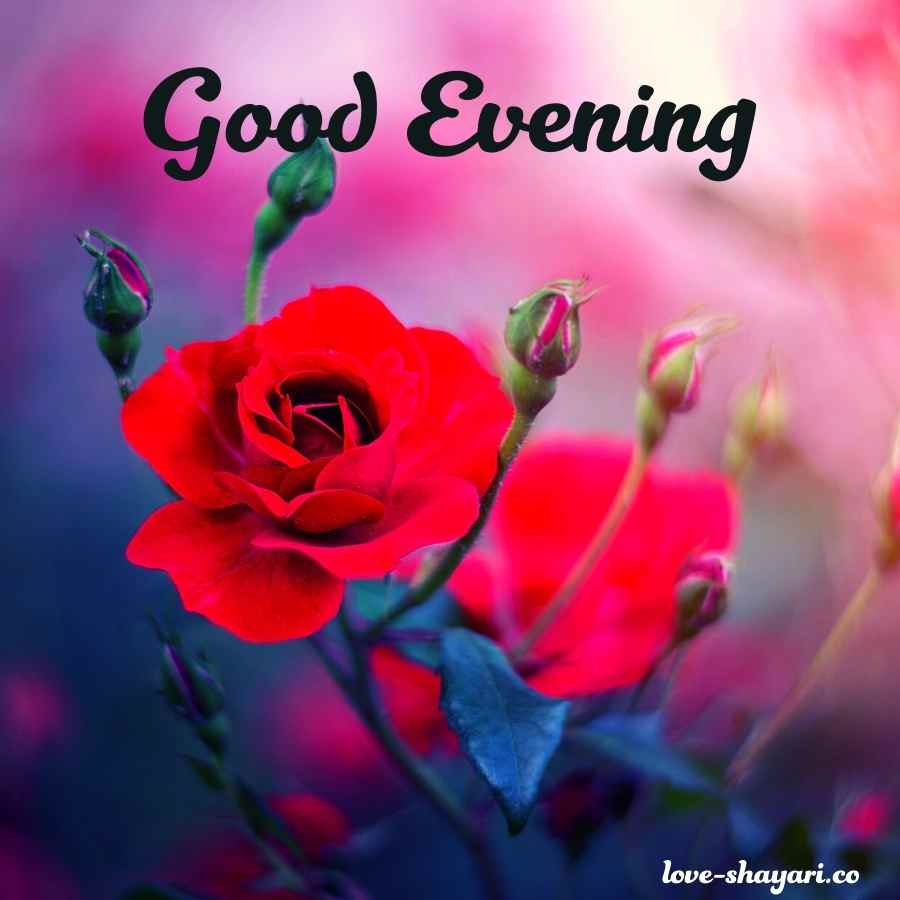 good evening with love images