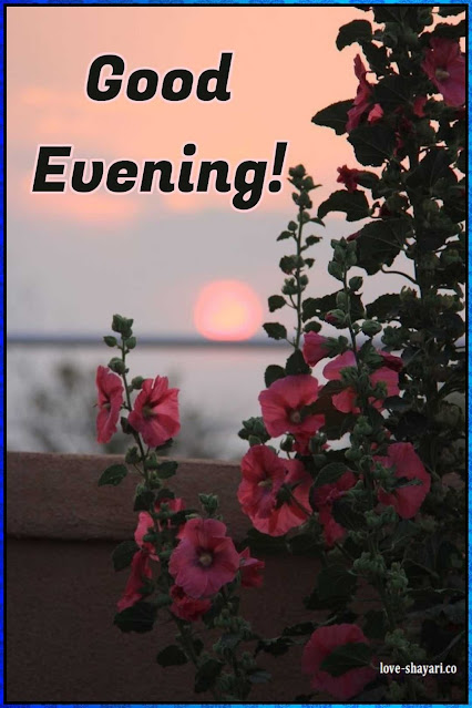 beautiful good evening images
