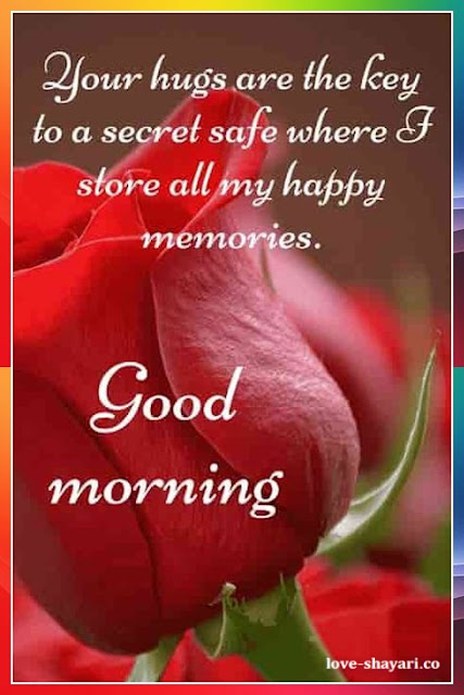 beautiful good morning red rose images