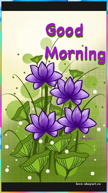 good morning beautiful flowers