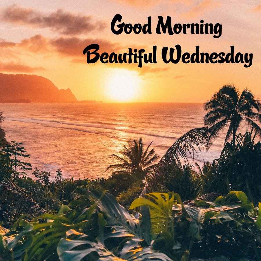 wednesday wishes images