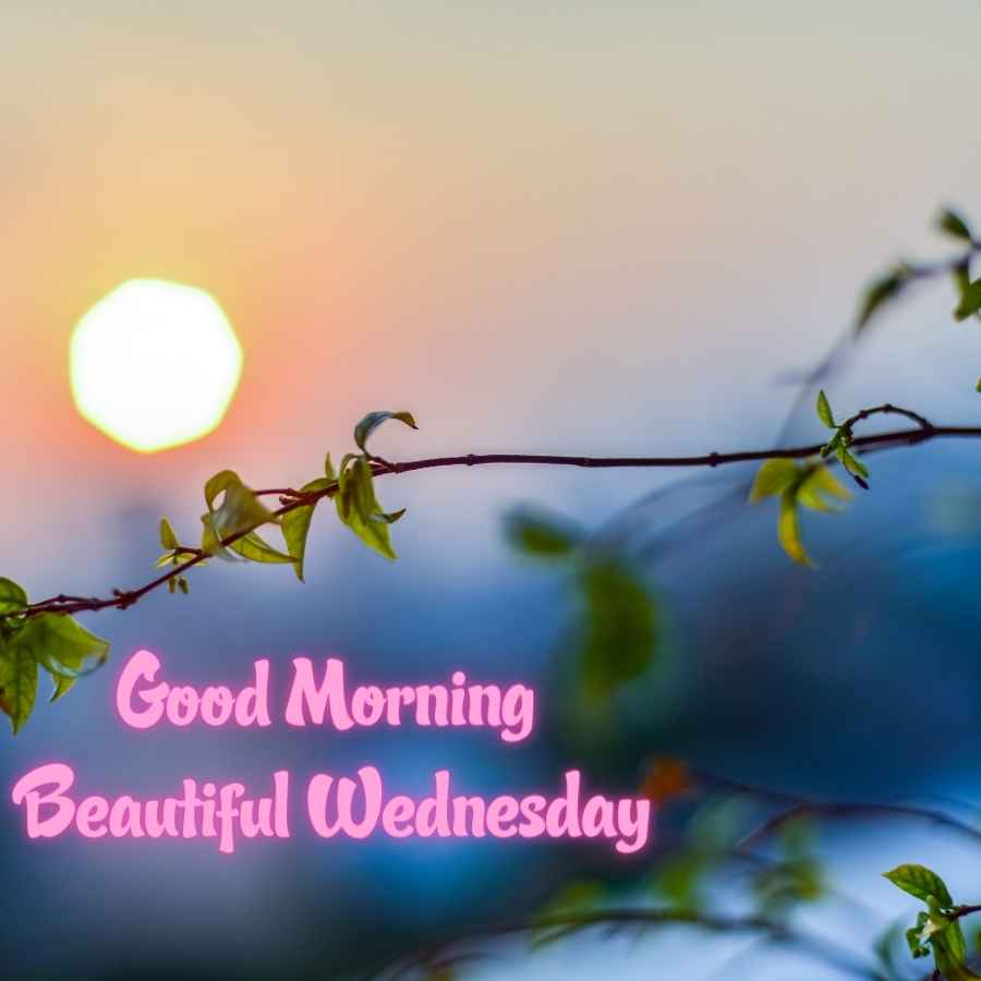 have a beautiful wednesday images