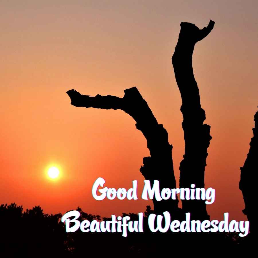 good morning happy wednesday images hd