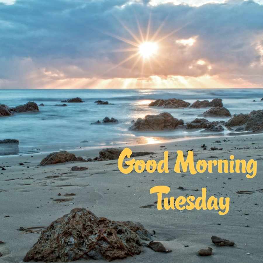 tuesday good morning pic