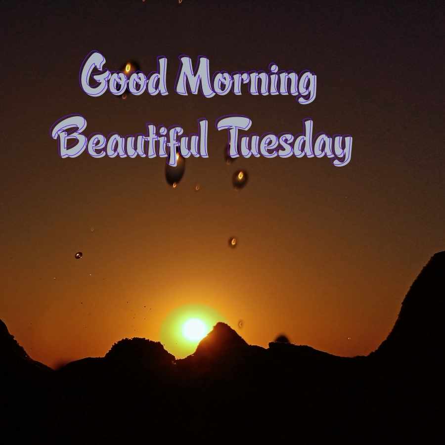 happy tuesday good morning images