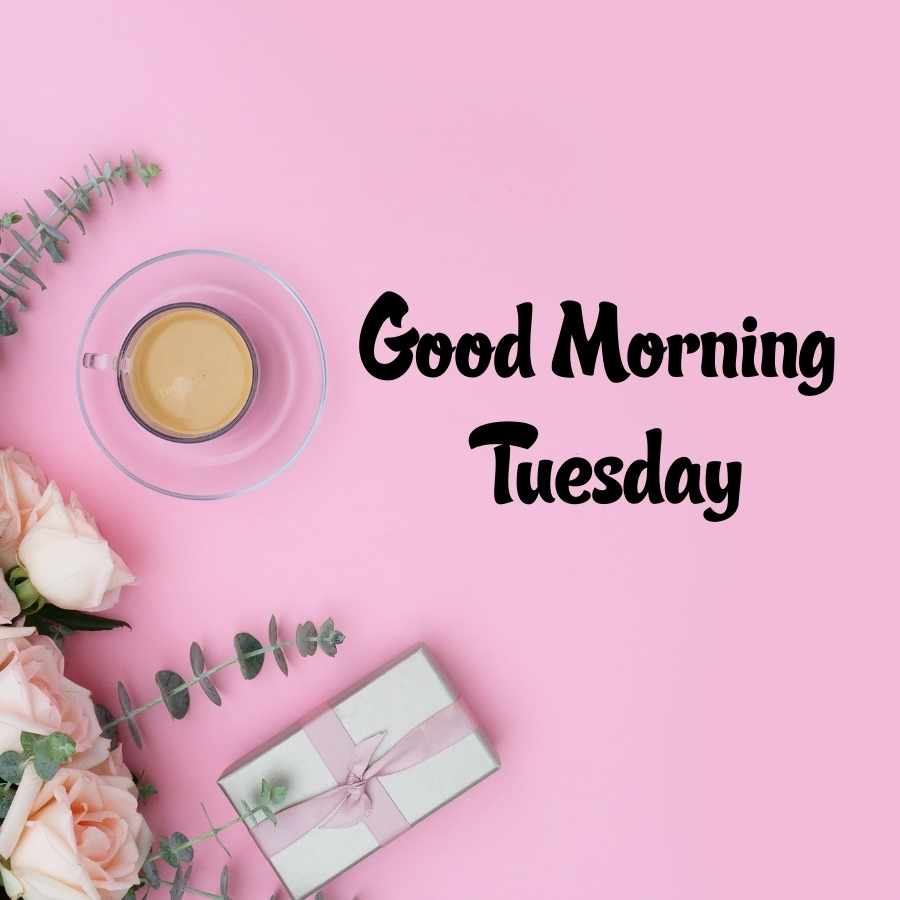 tuesday good morning wishes