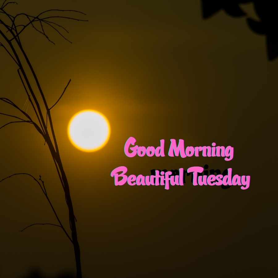 good morning images of tuesday