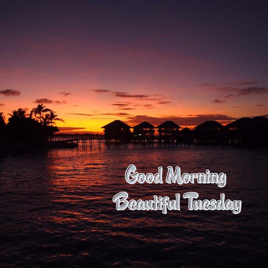 Good morning tuesday images hd