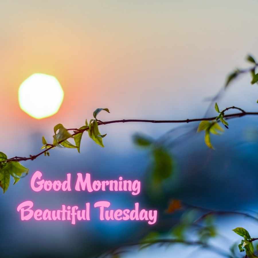 good morning tuesday blessings images