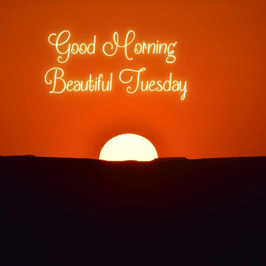 beautiful tuesday images