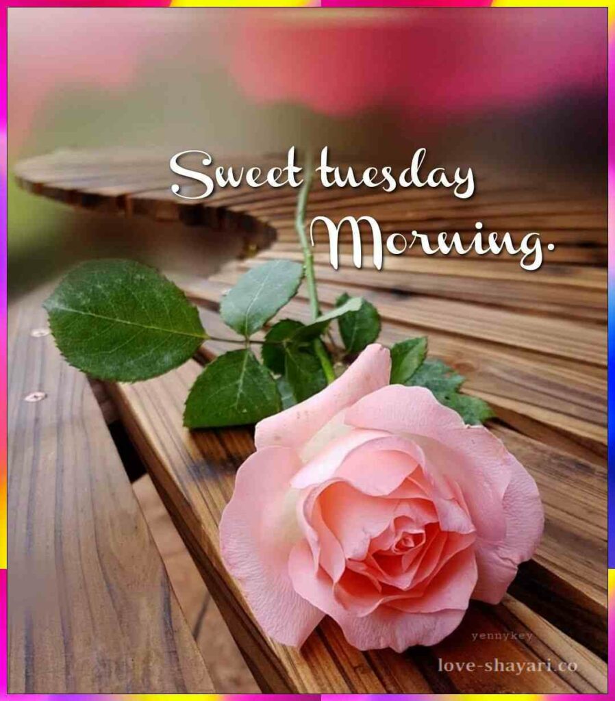 Sweet morning tuesday