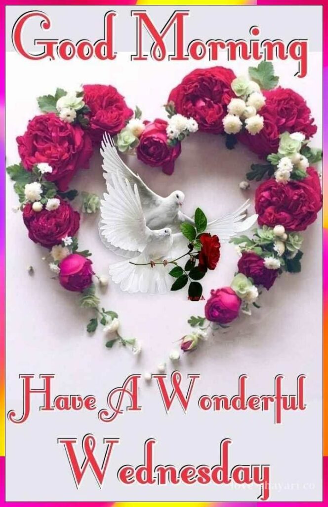 have a wonderful wednesday with flowers heart 
