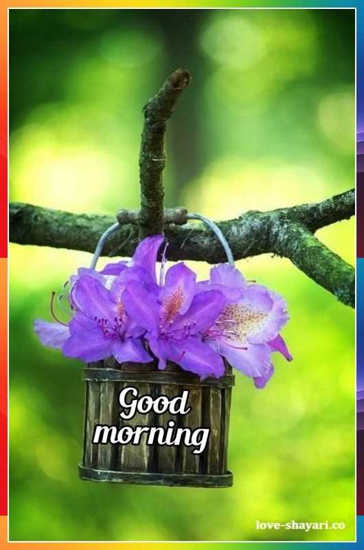 good morning with flower in pot
