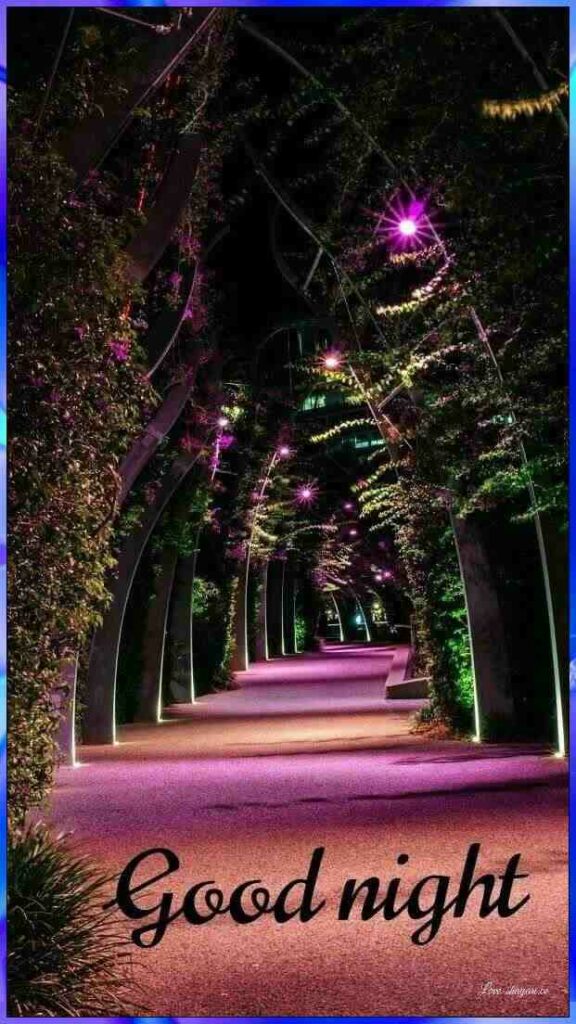 good night wallpaper with lighting trees  