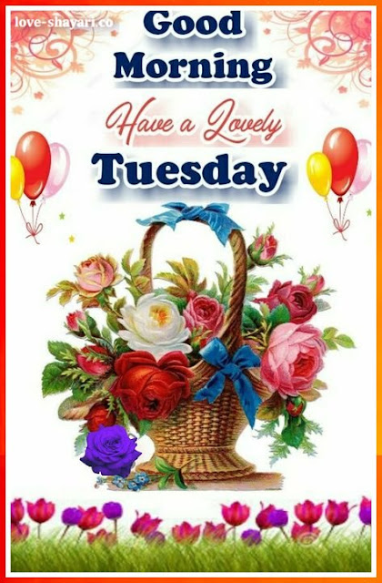 good morning tuesday images hd