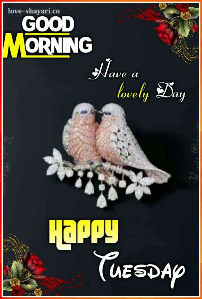kissing birds with Have a lovely tuesday