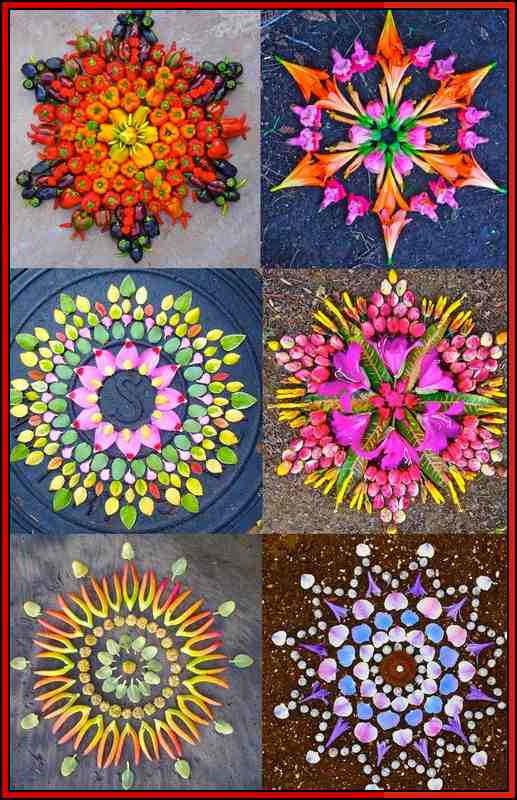 simple flower rangoli for diwali
