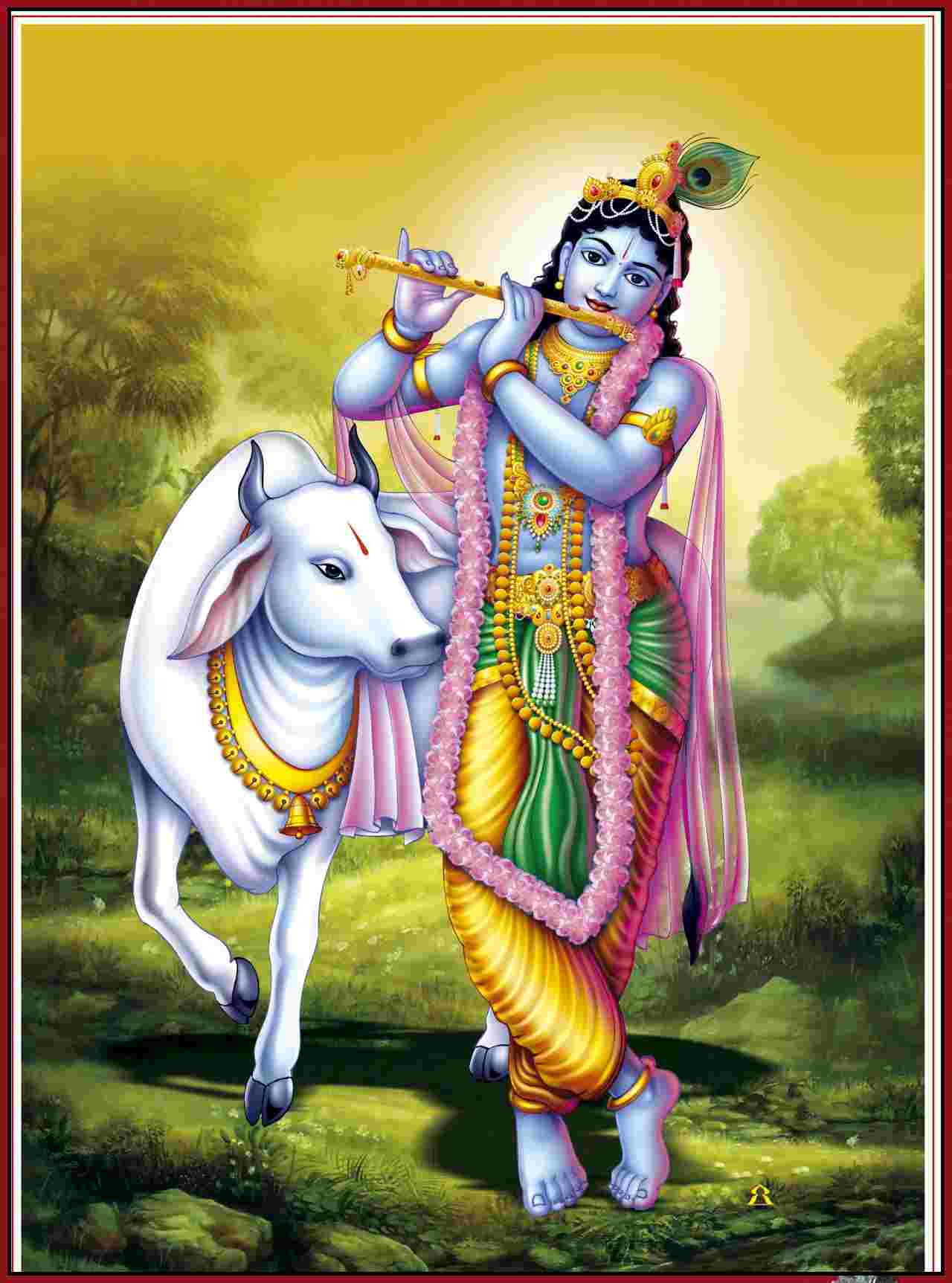 lord krishna pictures
