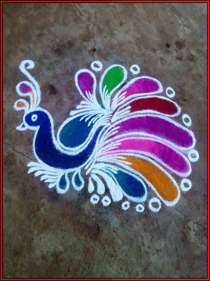 peacock easy rangoli designs
