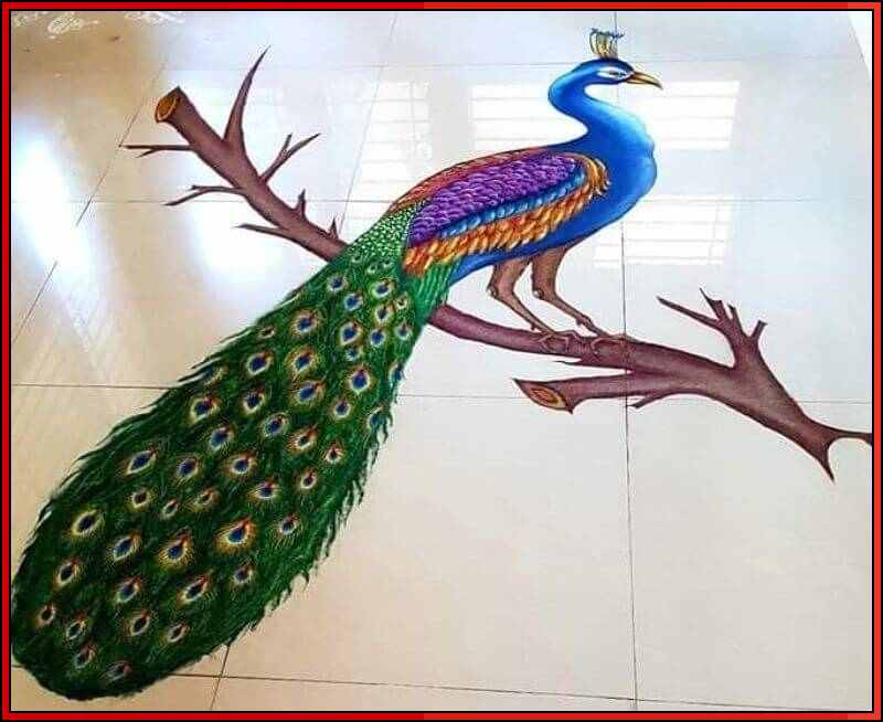 latest peacock rangoli designs
