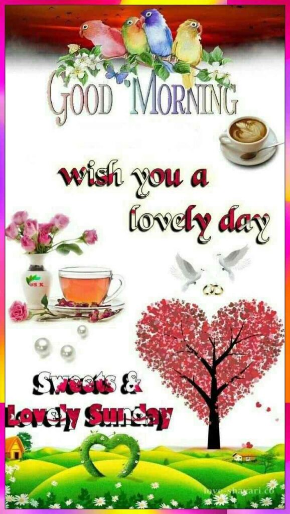 good morning wish you a lovely sunday