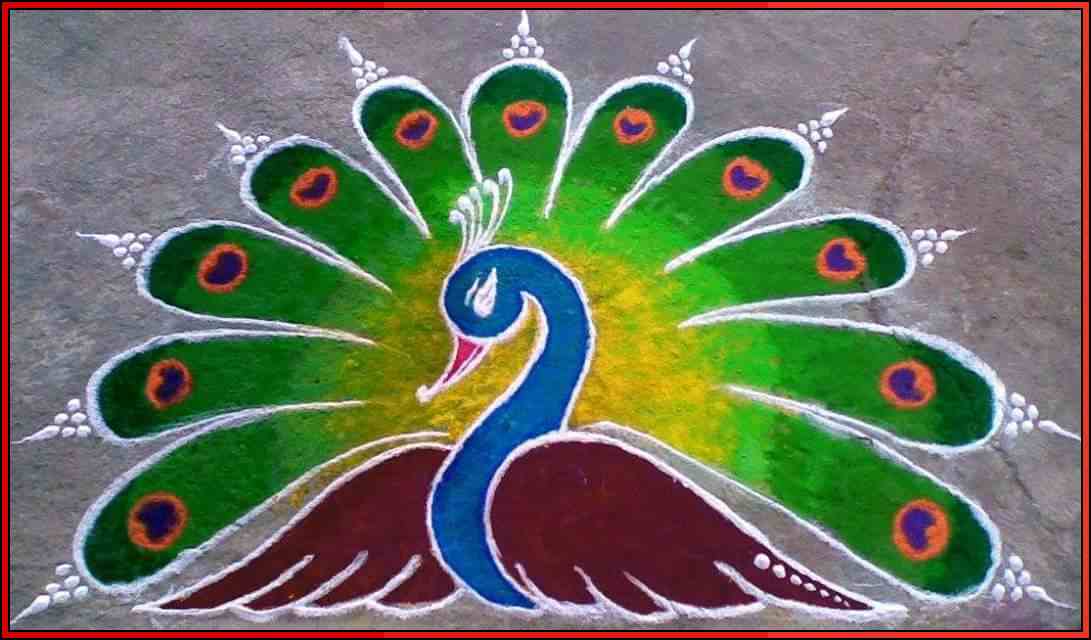 peacock rangoli pictures
