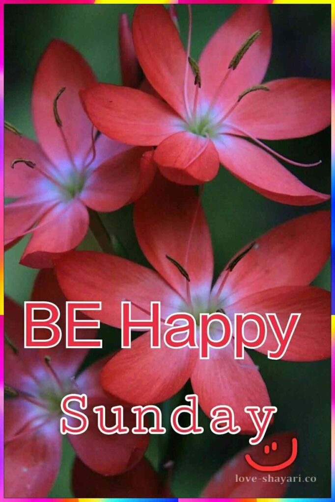 Be happy sunday with smiling