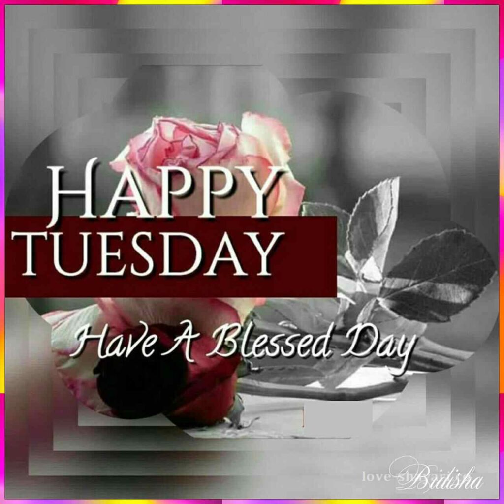 happy Tuesday have a blessed day