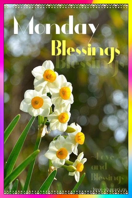 Monday blessing with flowers
