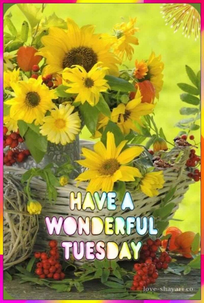 have a wonderful Tuesday