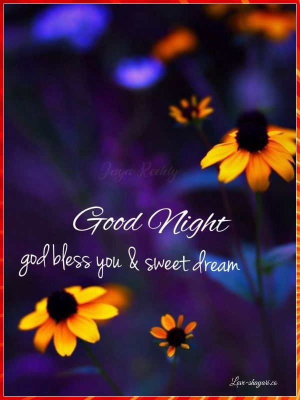 Wishing you sweet dreams and a restful night. Good night