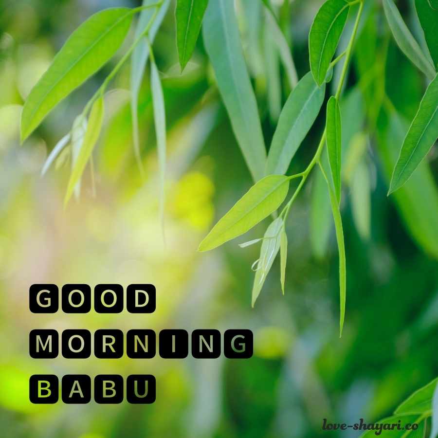 good morning love pictures for babu