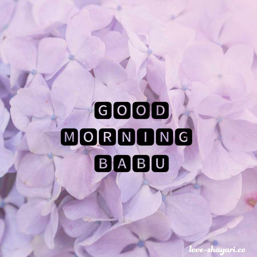 beautiful good morning text for babu