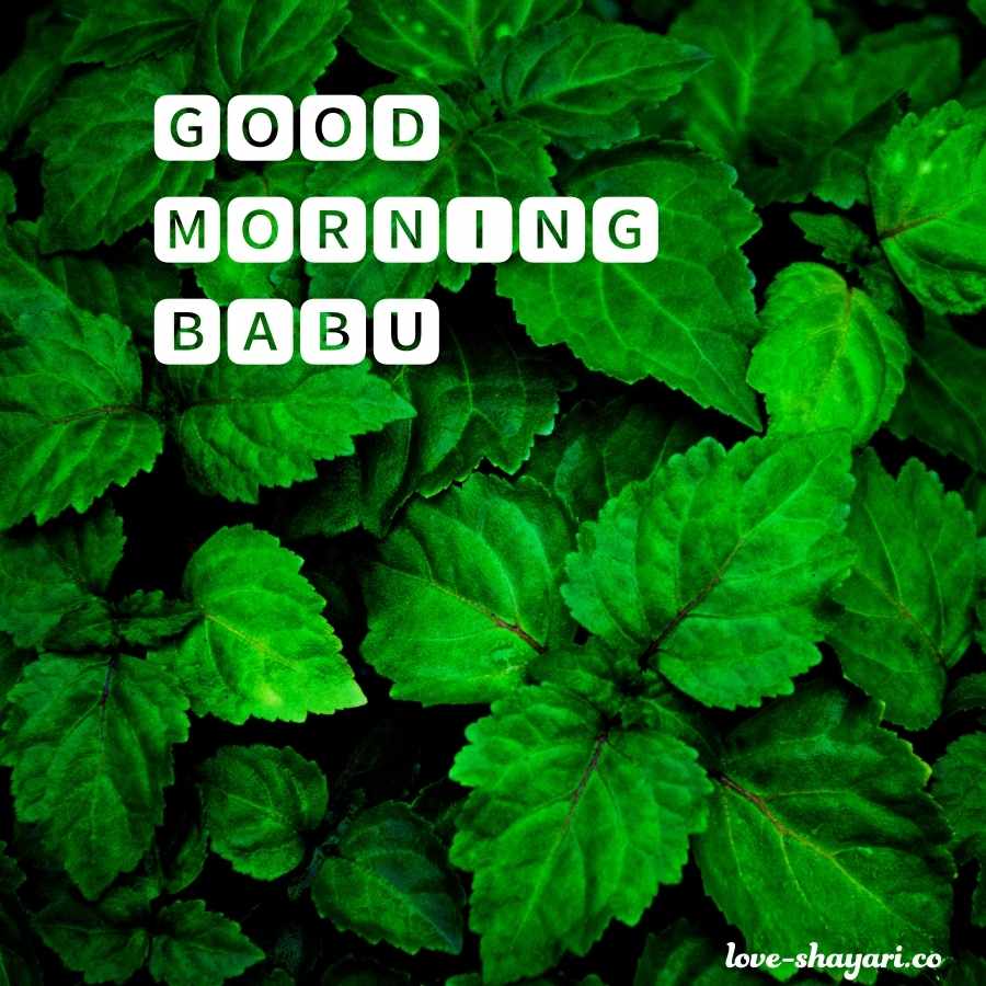 babu good morning images