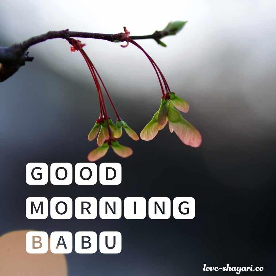 good morning images to impress babu