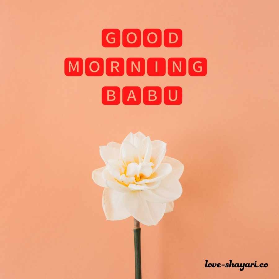 good morning love babu