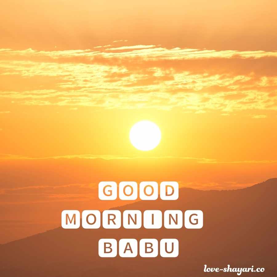 good morning love rose image for babu
