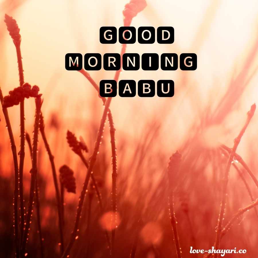 good morning love image for babu download